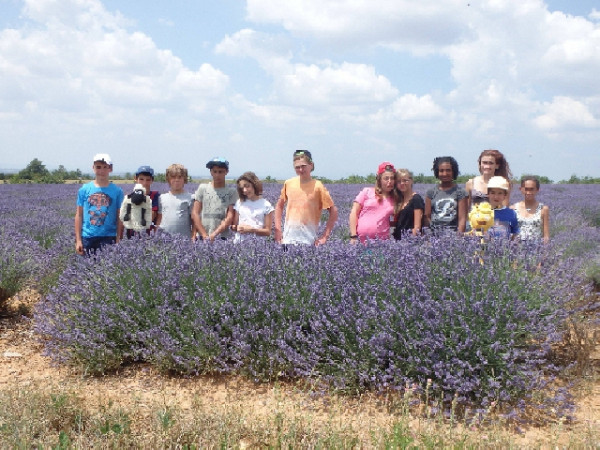 "Transhumance et migration"