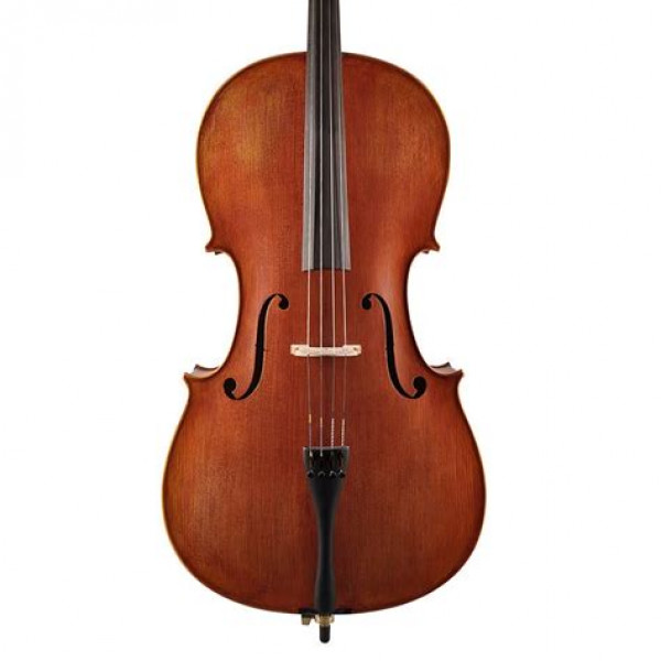 Cours de violoncelle à domicile Die - Crest