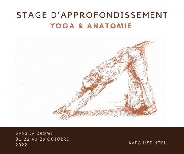 Stage d'approfondissement YOGA & ANATOMIE
