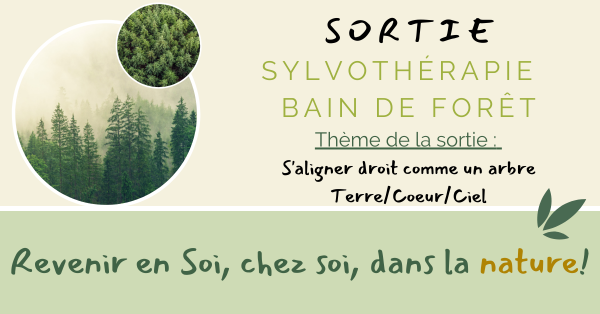 Sortie découverte de la Sylvothérapie (bain de forêt) - Thème "S'aligner droit comme un arbre""