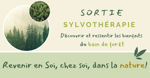Sortie initiation & découverte de la Sylvothérapie (bain de forêt)