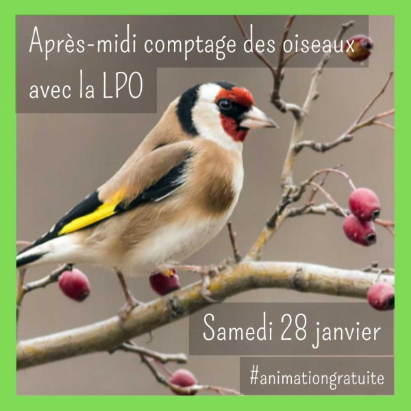 Animation gratuite : Comptage des oiseaux des jardins aux Amanins, avec la LPO