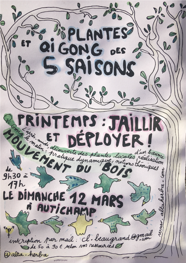 Plantes et Qi Gong des Cinq Saisons · Le Printemps : Jaillir et Déployer !
