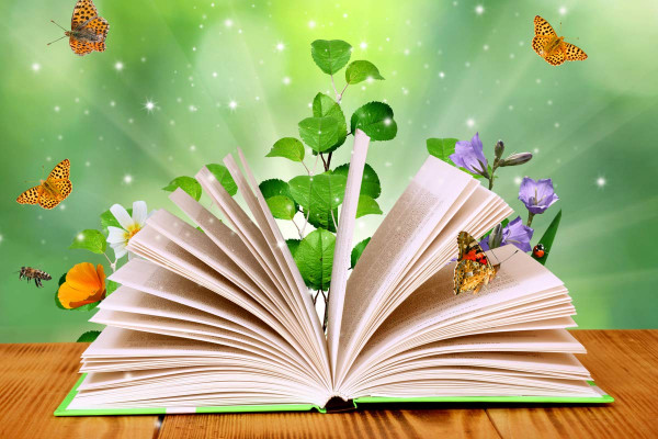 Co-formation contes & nature