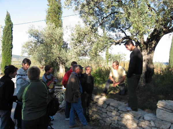 Visite découverte du domaine du Chêne Vert