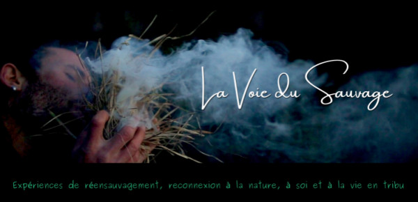 Stage « Vie Sauvage & tribu en paix (CNV module 1) »