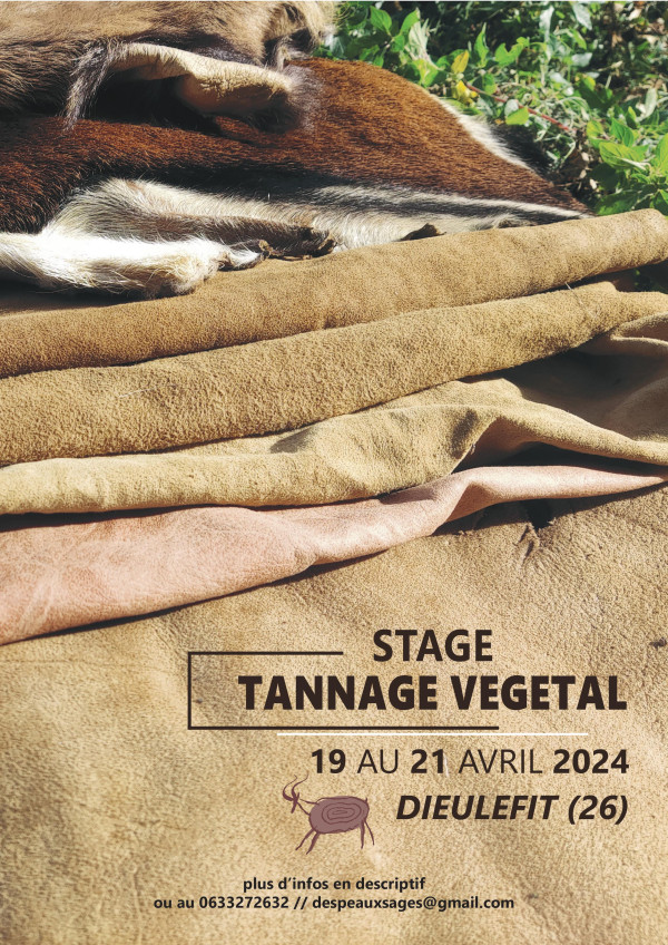 Stage Tannage Végétal