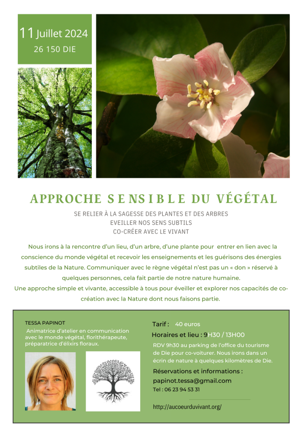 APPROCHE SENSIBLE DU VÉGÉTAL