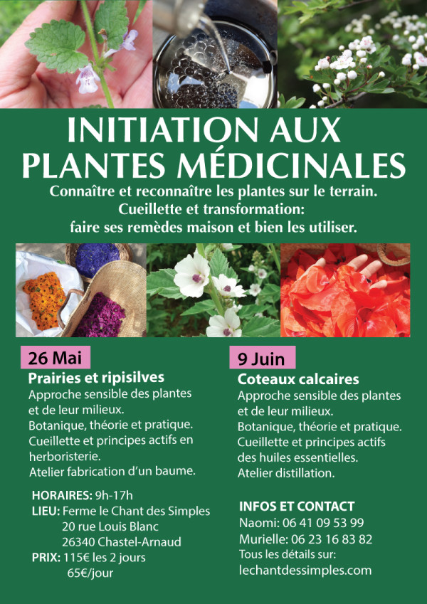 Initiation aux plantes médicinales - duplication