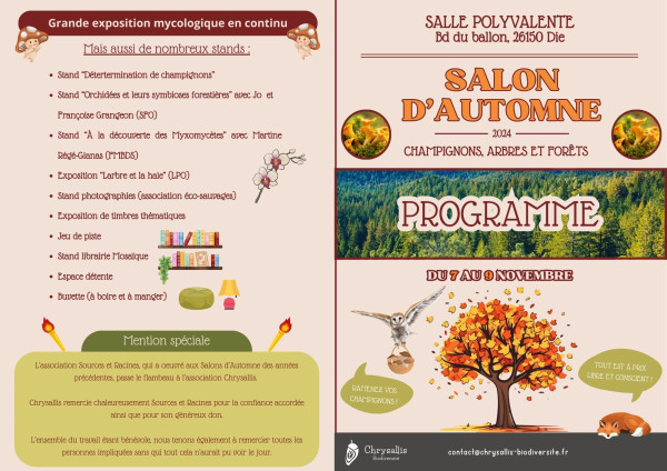 LES STANDS  AU SALON D’AUTOMNE 2024