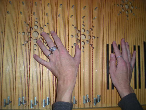 cours de cithare et zither