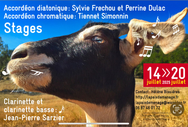 Stage de clarinette, accordéon diatonique et accordéon chromatique