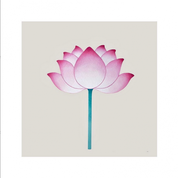 Cours mensuel de Yin Yoga