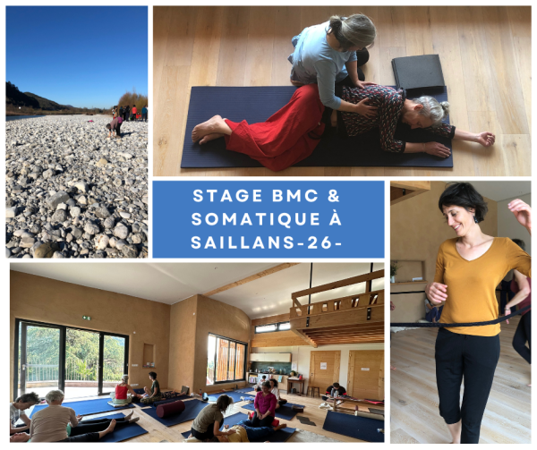 Stage de Body-Mind Centering ® & Somatic