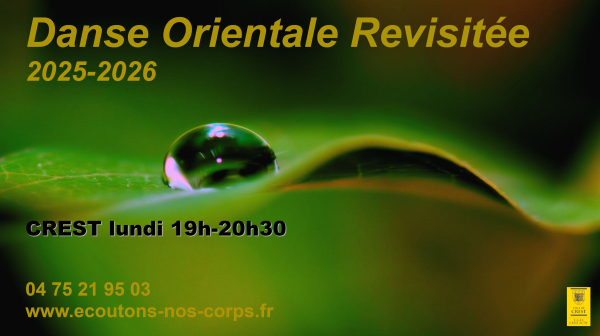 Danse Orientale Revisitée: cours et stage en Drôme
