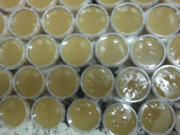 Apiculture Fred Bourgeaud