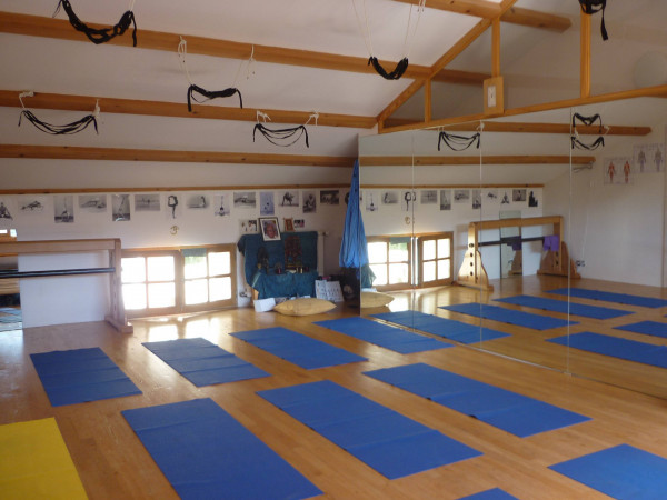 Yoga Iyengar